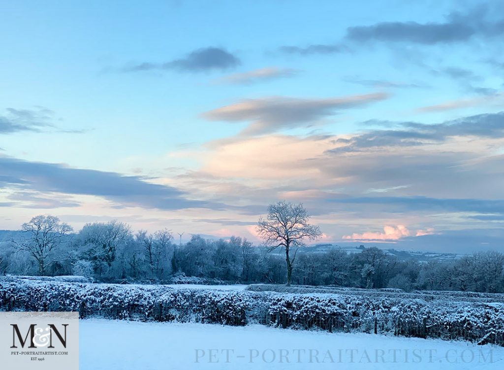 Melanie’s December Monthly News - Early Morning Snow Walk