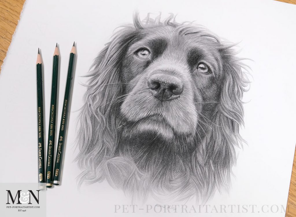 Melanie’s December Monthly News - Pet Portrait in Pencil