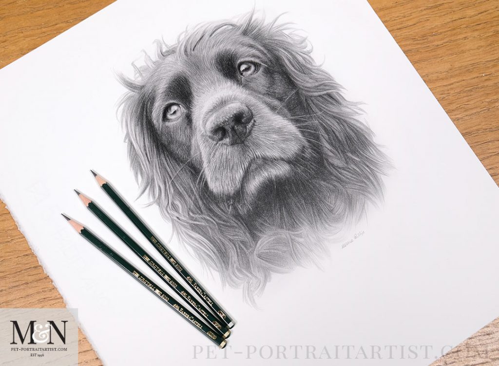 Pet Portrait by Melanie Phillips