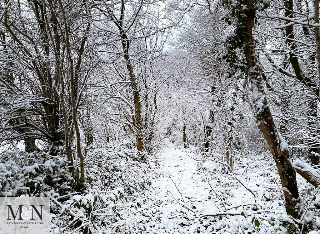 Melanie’s December Monthly News - Walk along the Lane