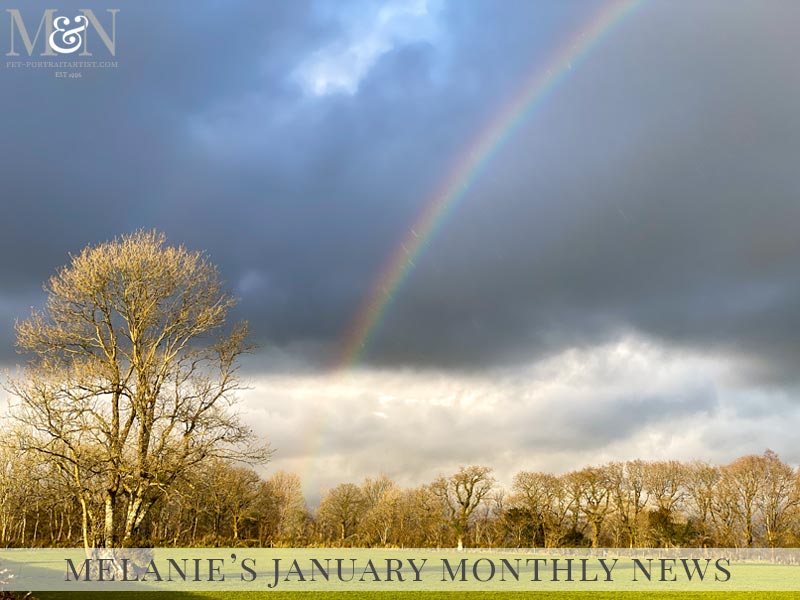 Melanie’s January Monthly News