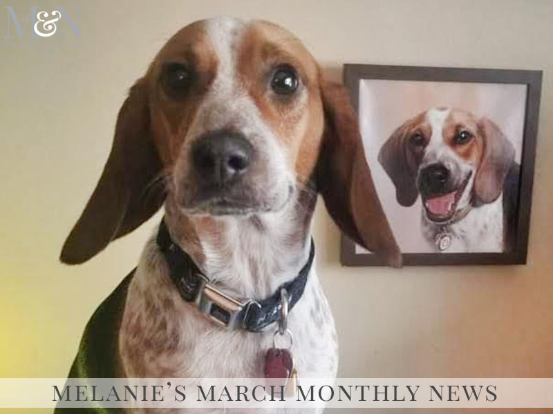Melanie’s March Monthly News