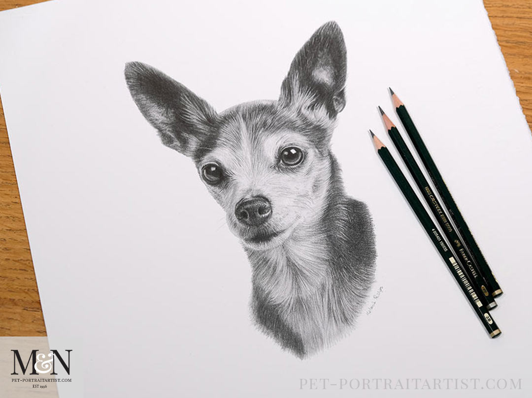 Jaspers pencil portrait