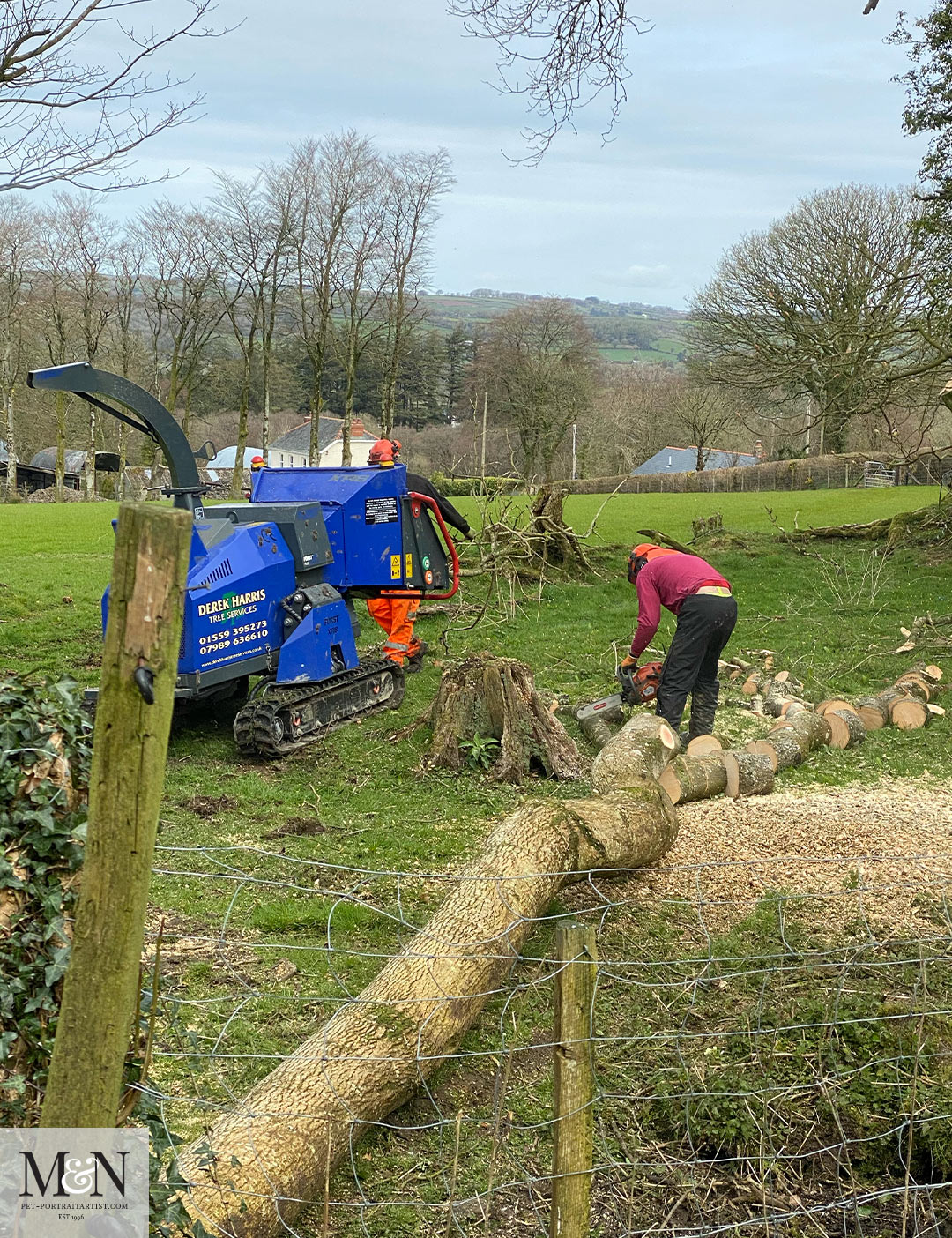 felling and chipping