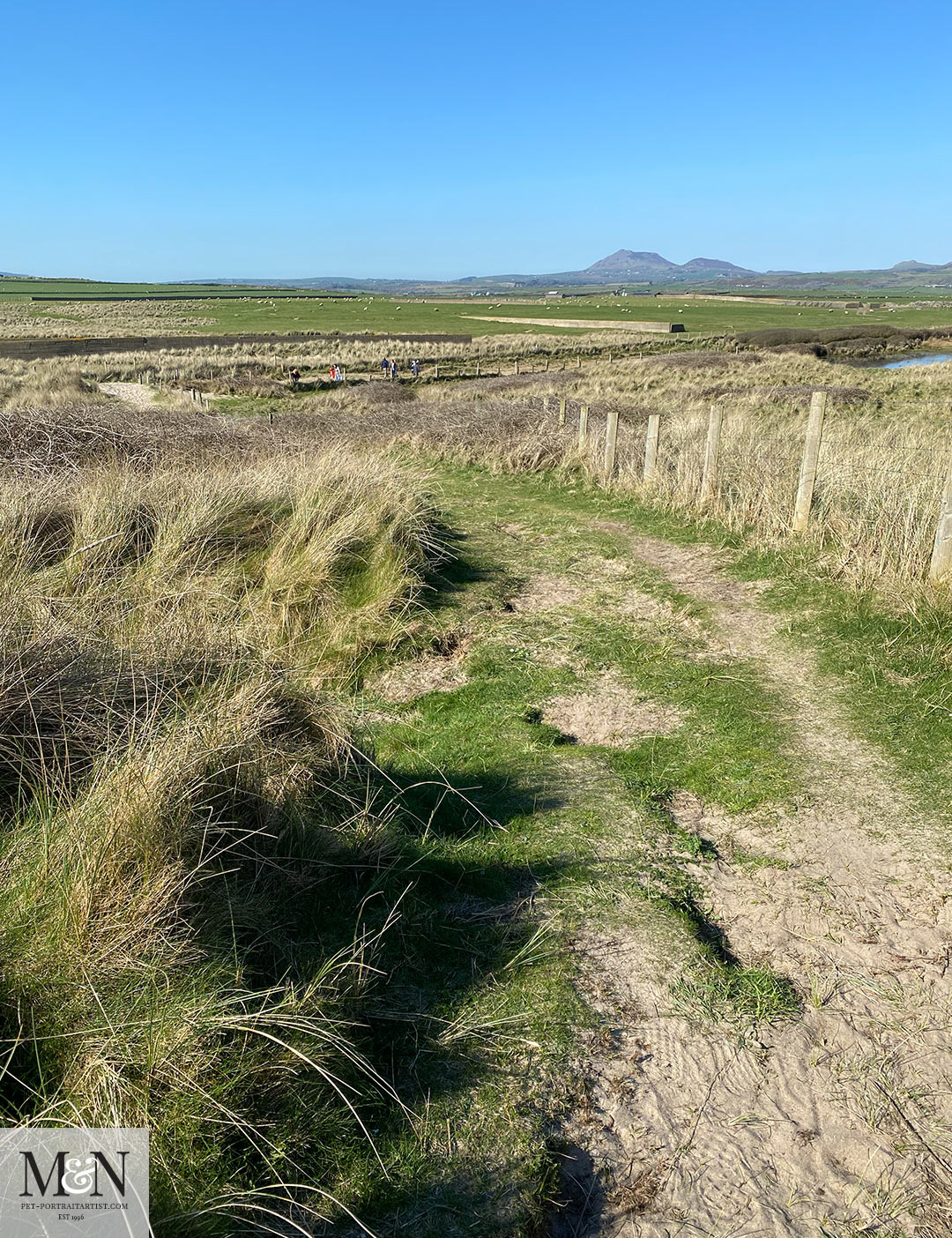 Melanie’s April Monthly News - Coastal path views