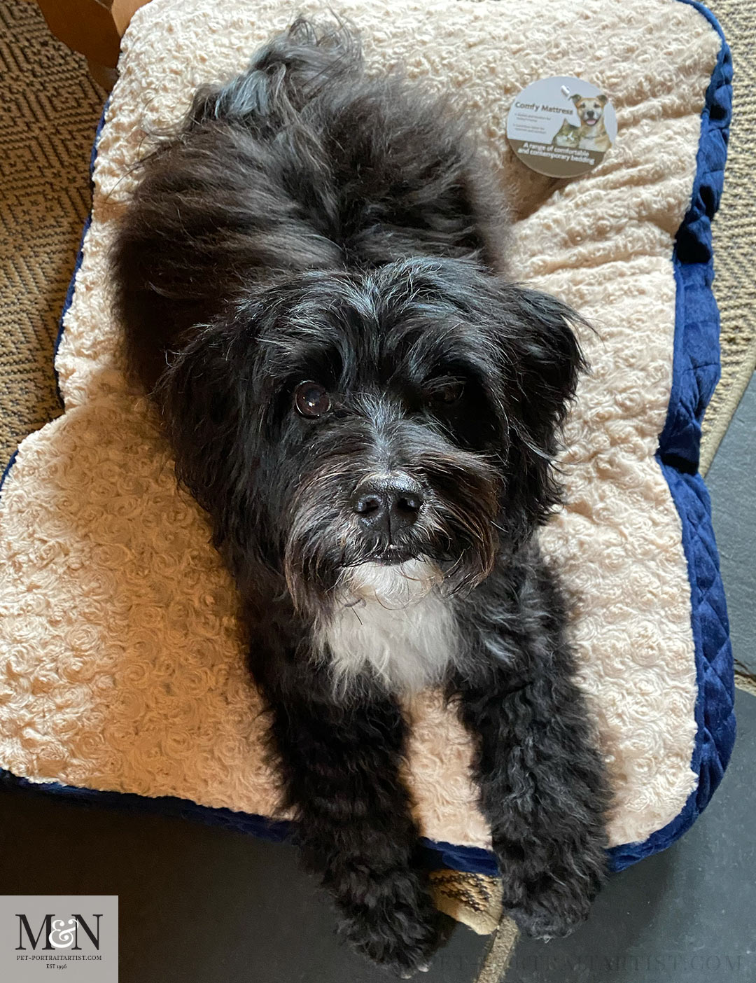 Lily and her new bed