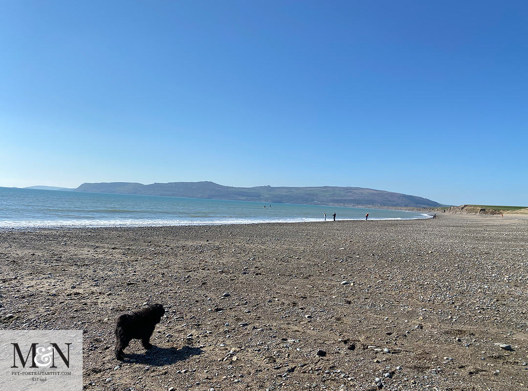 Lily on the beach