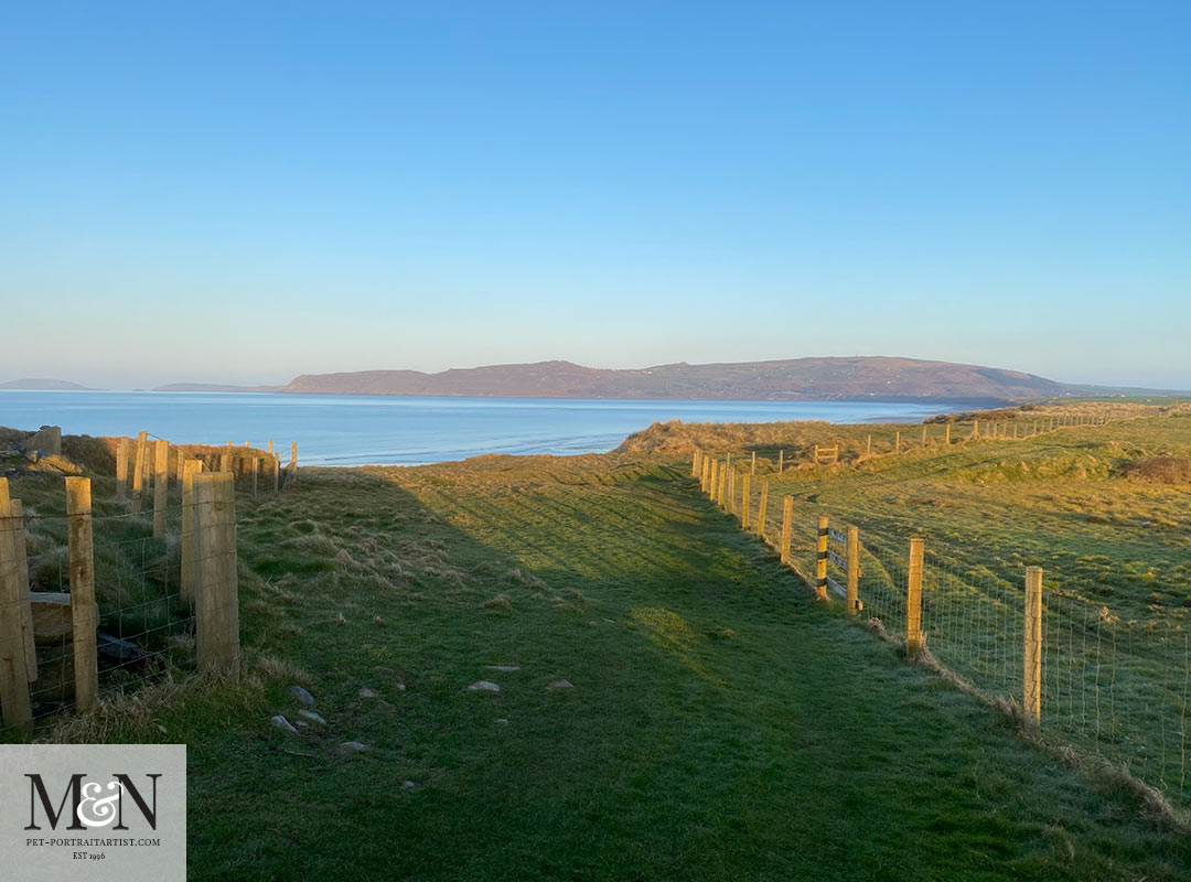 Coastal path run