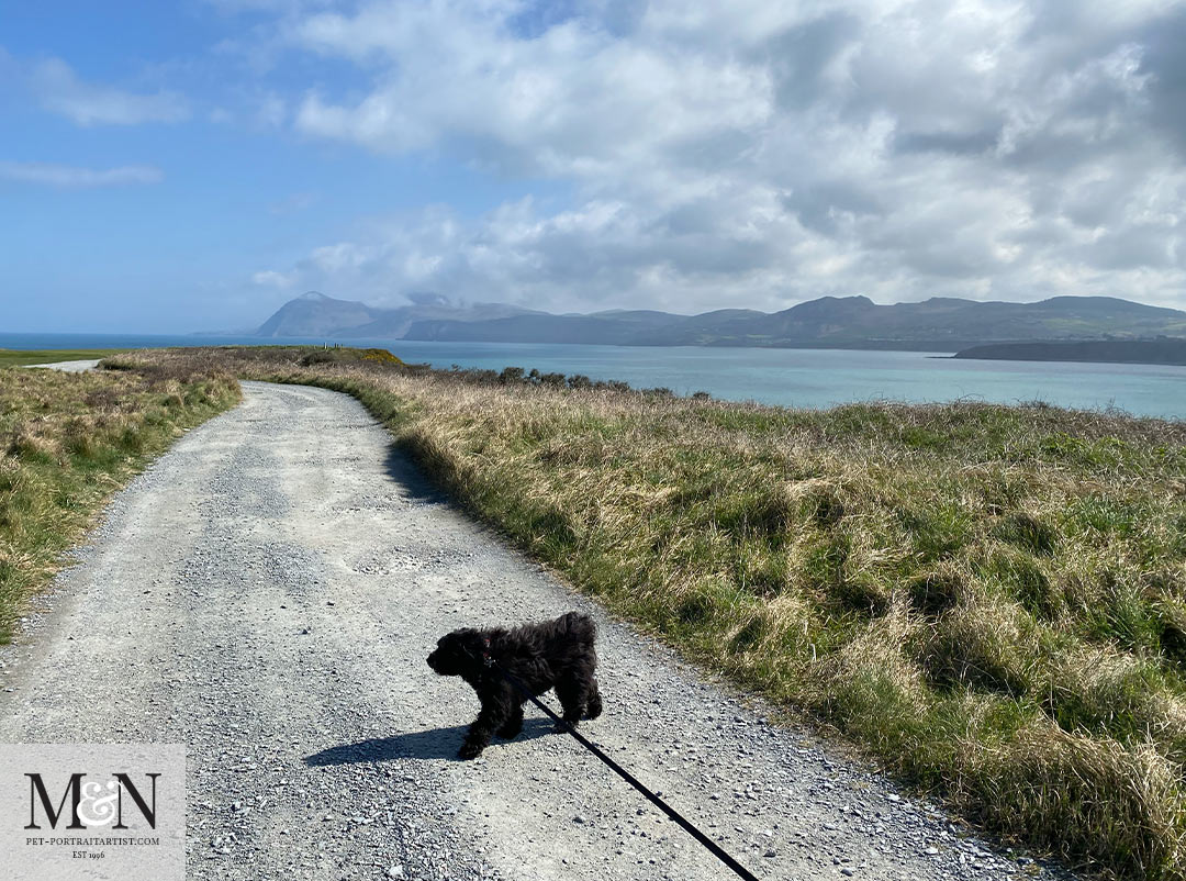 Morfa Nefyn walk