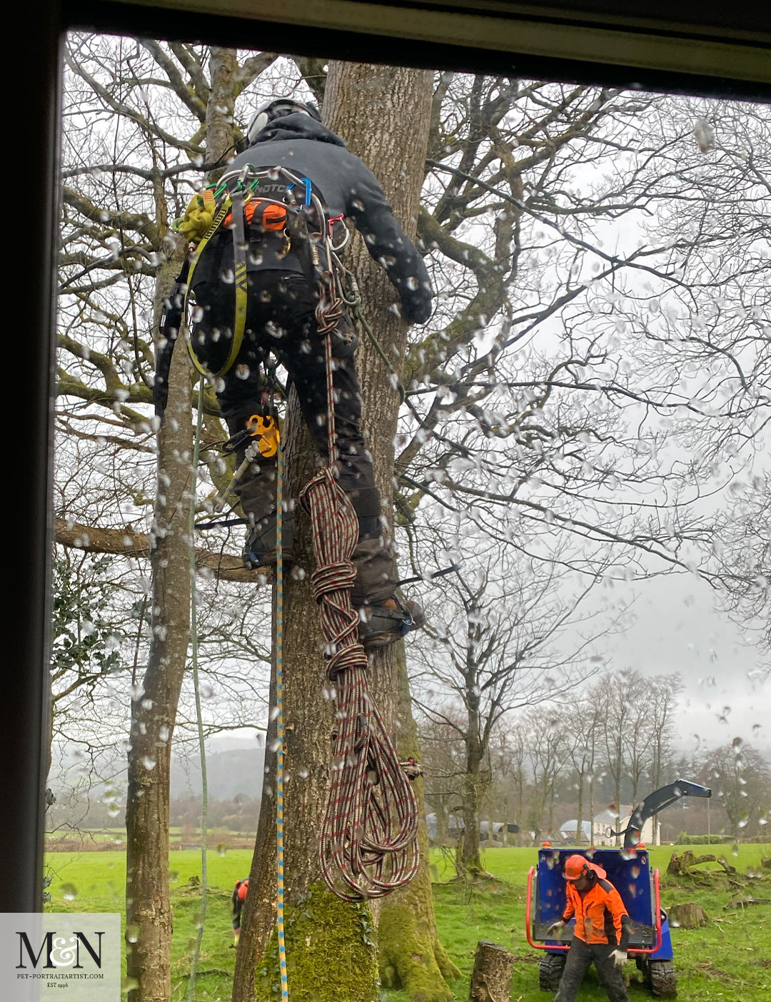 Cutting down the trees