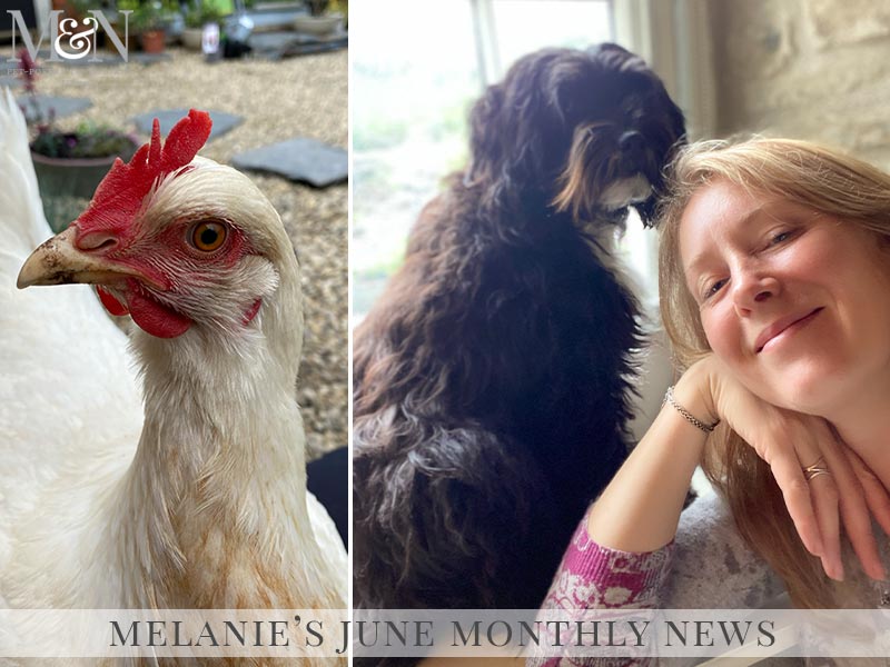 Melanie’s June Monthly News