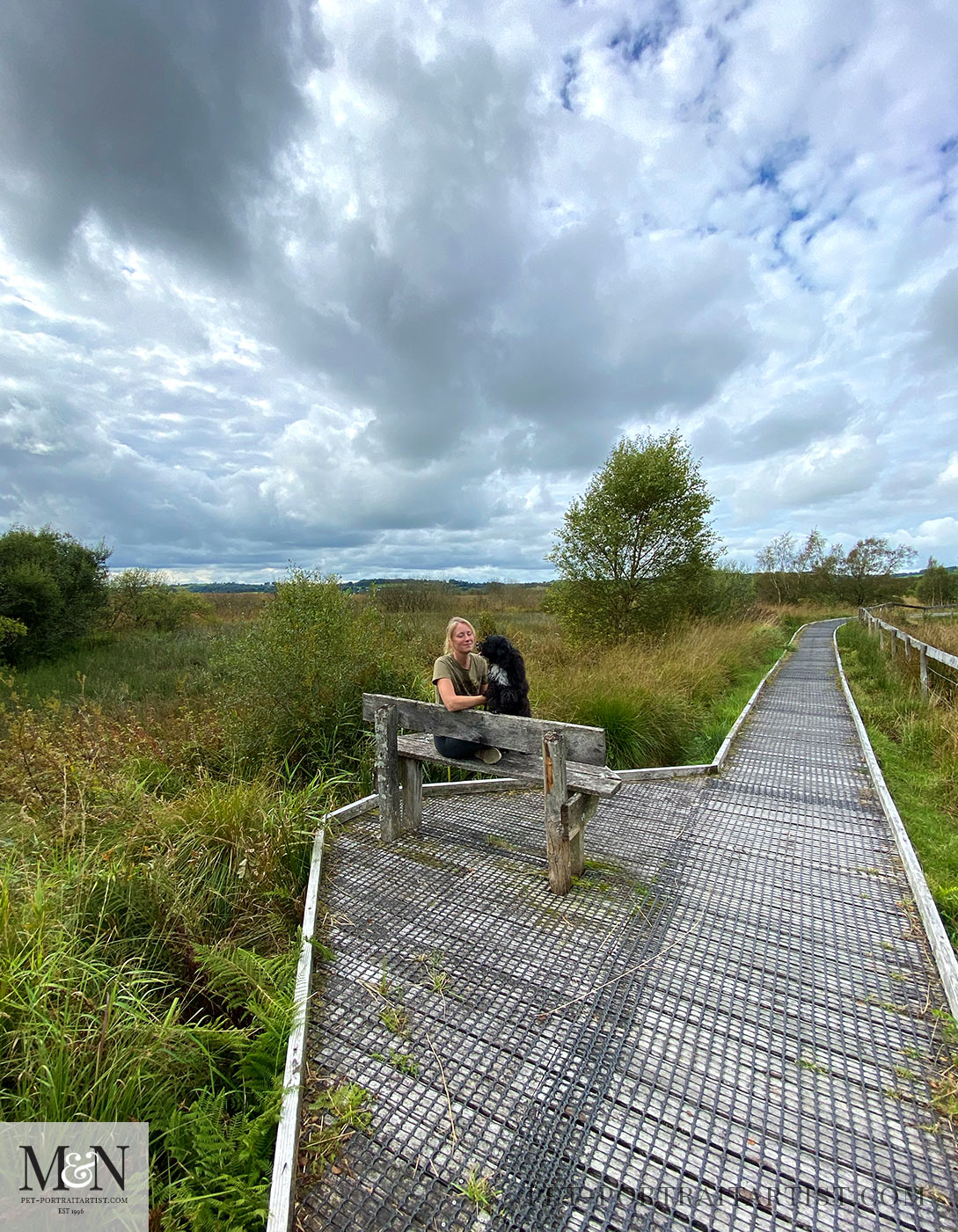 Tregaron bog walk