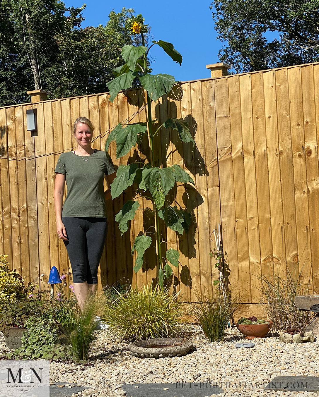 Melanie and the sunflowers