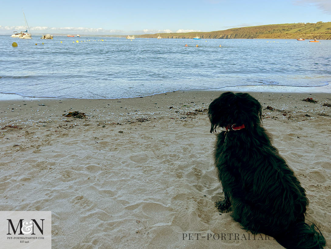 Lily looking on at our Bluetit Sea Swim