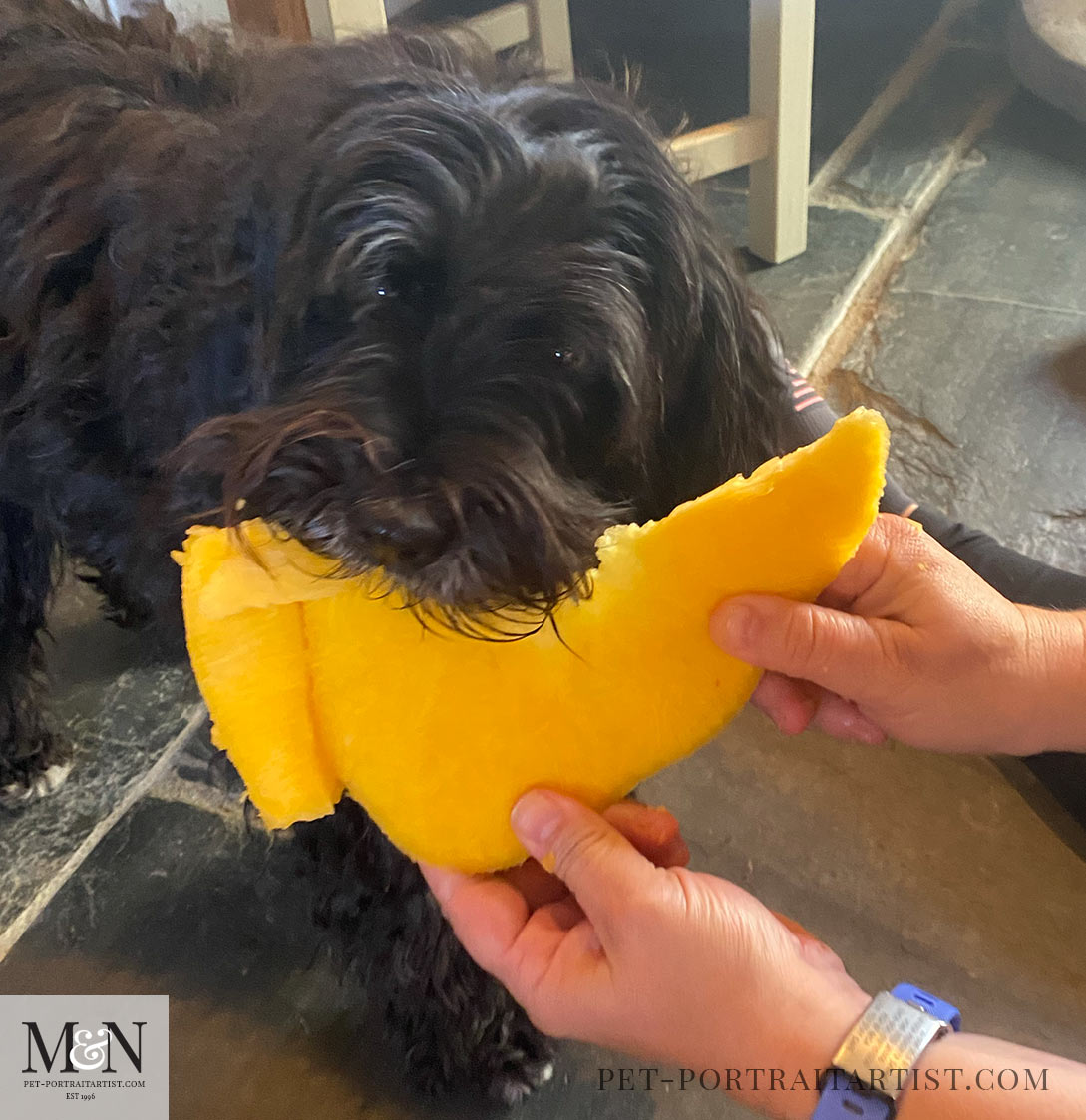 Lily and the pumpkin!