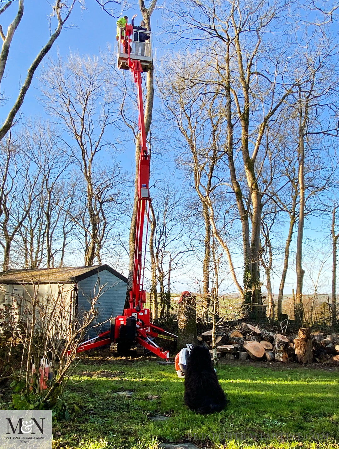 Cherry Picker Ride