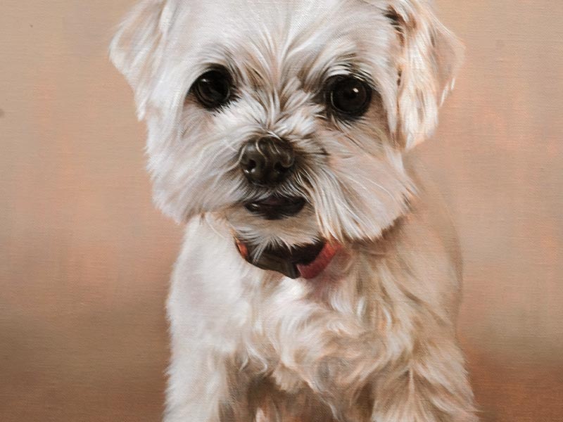 Oil Painting of Paddy