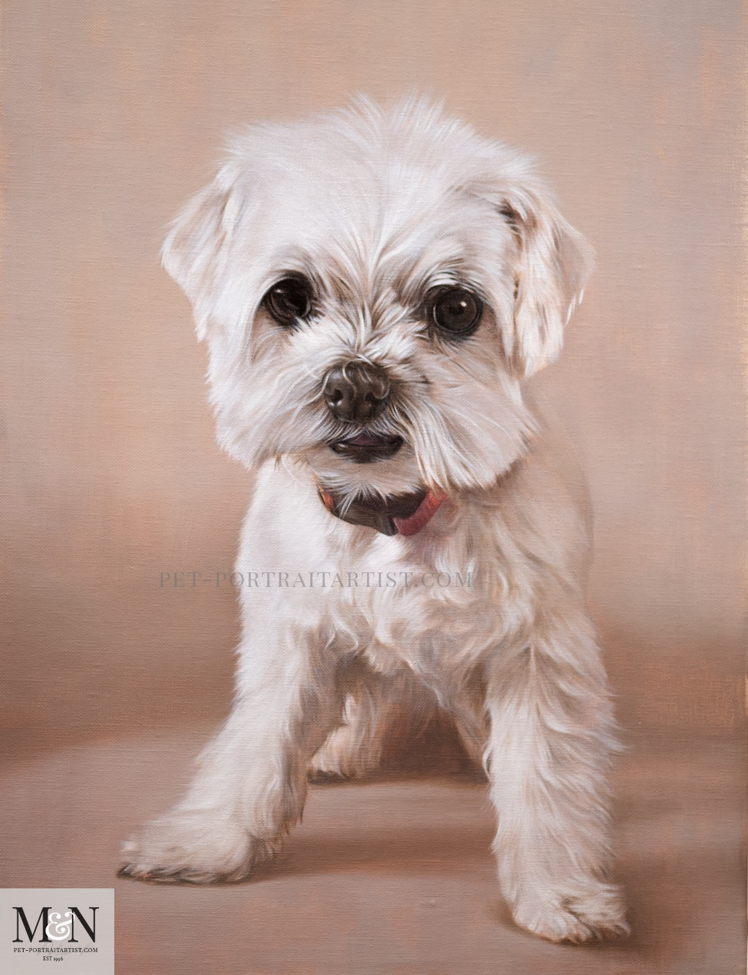 Melanie's February Monthly News - Oil Painting of Paddy