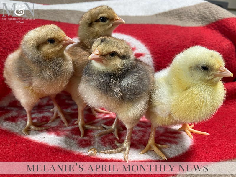 Melanie’s April Monthly News