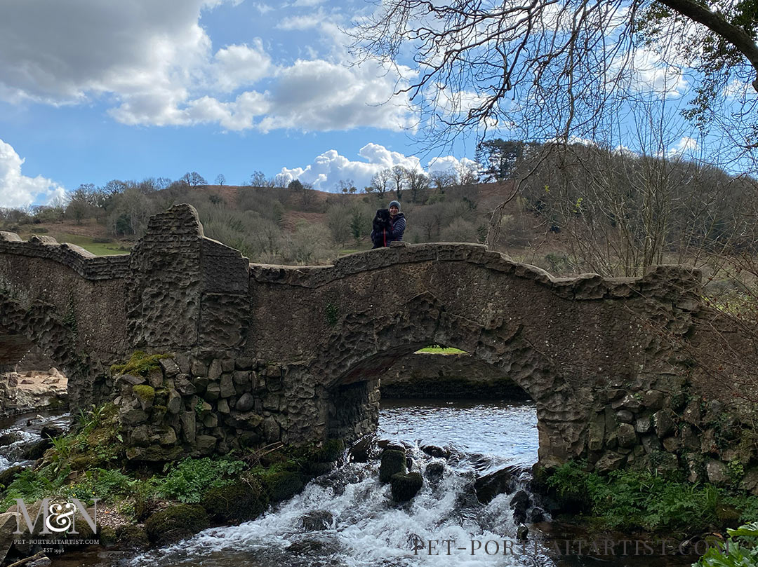Bridge at Dunster castle 