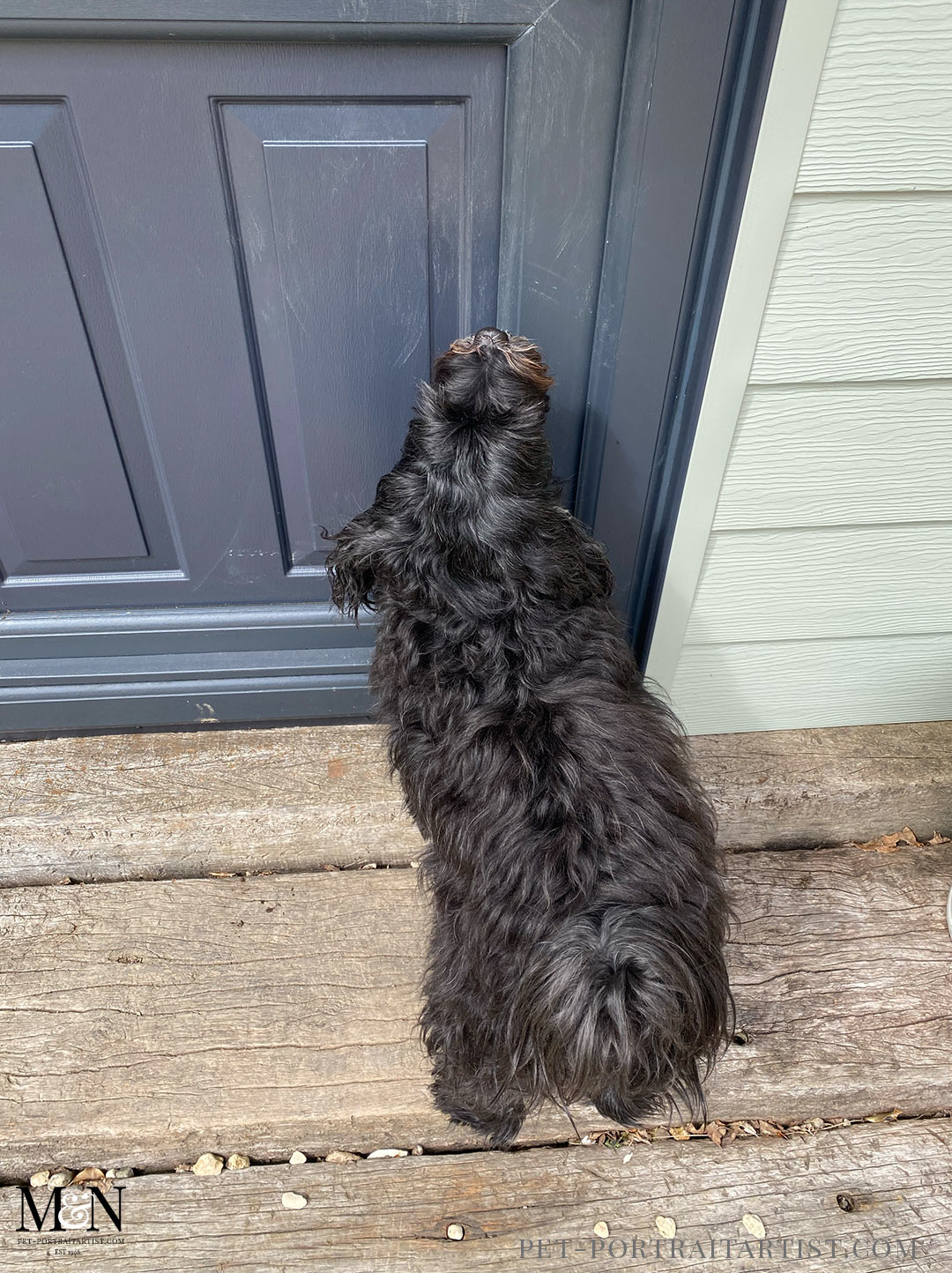 Lily wanting to go see the baby chicks!