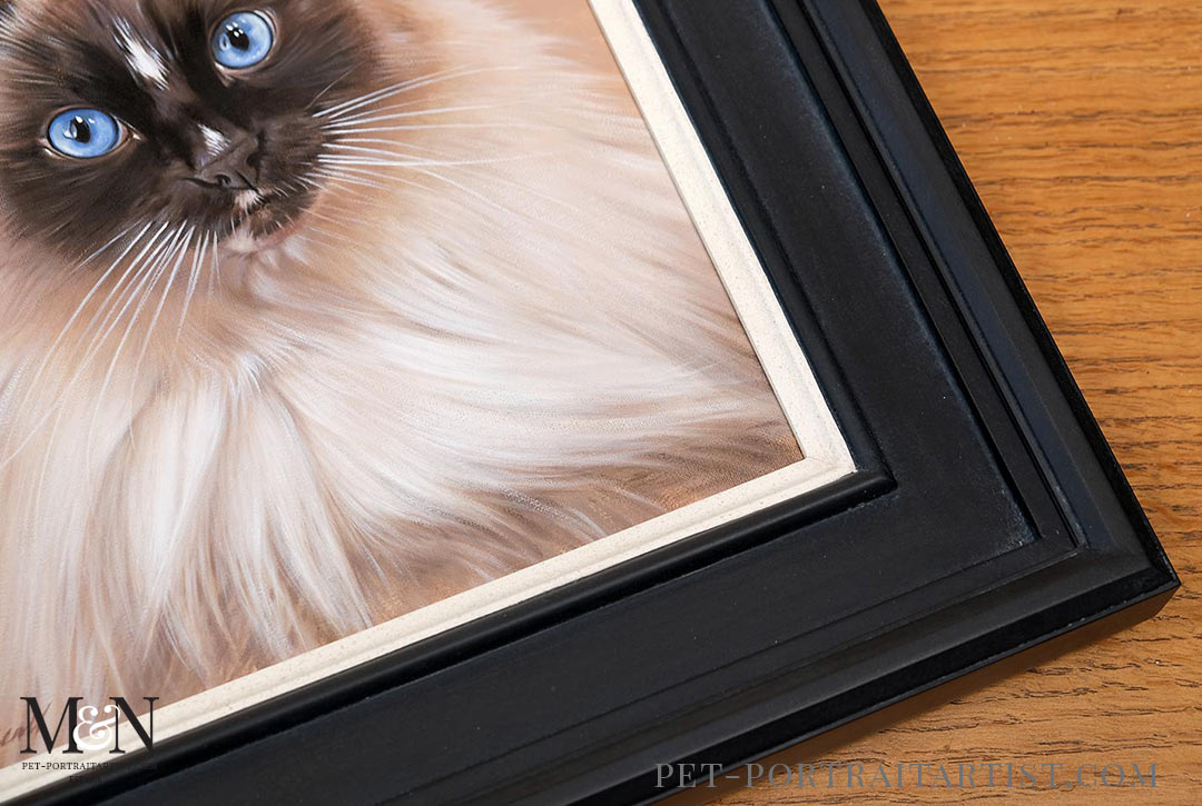 Framed Cat portrait