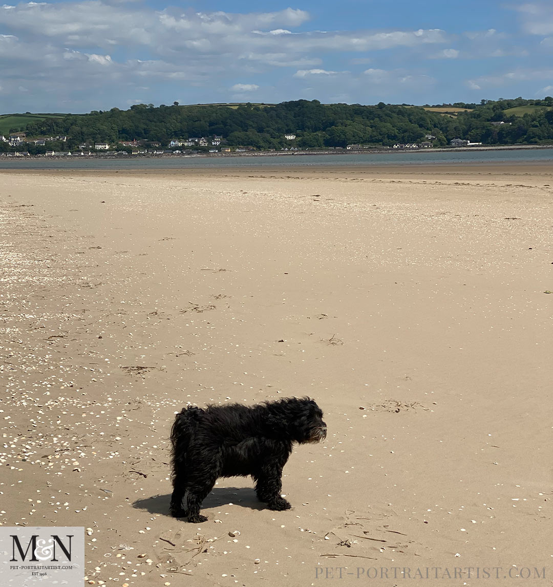 Lily on the beach