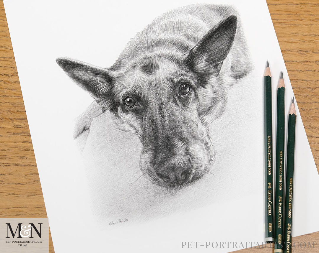 Kegans pencil drawing