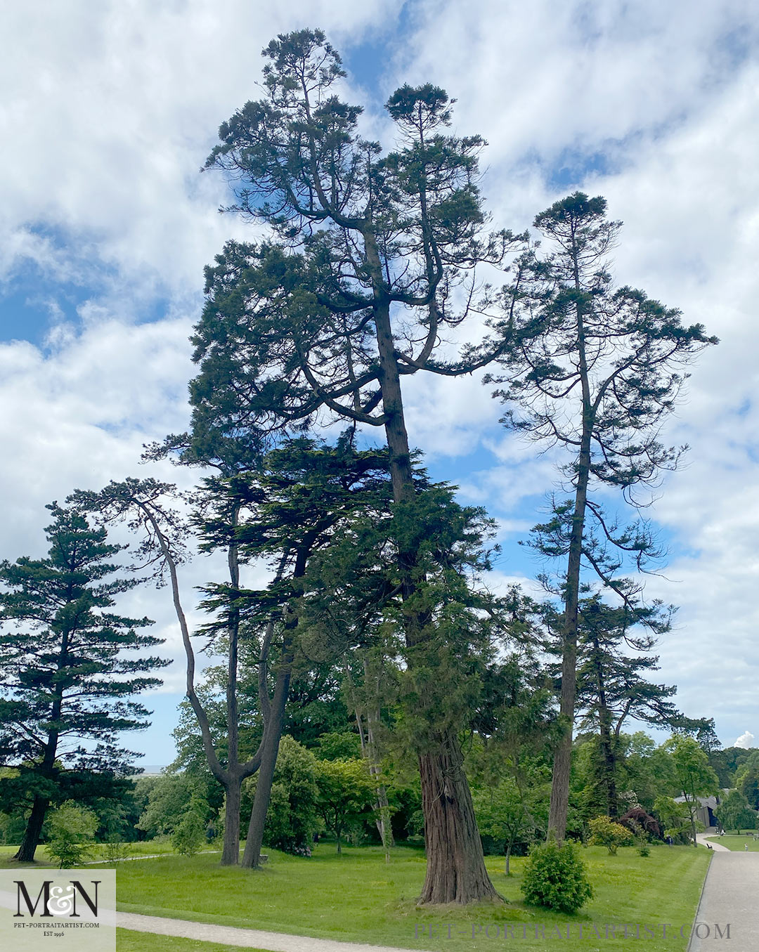 Margam Country Park