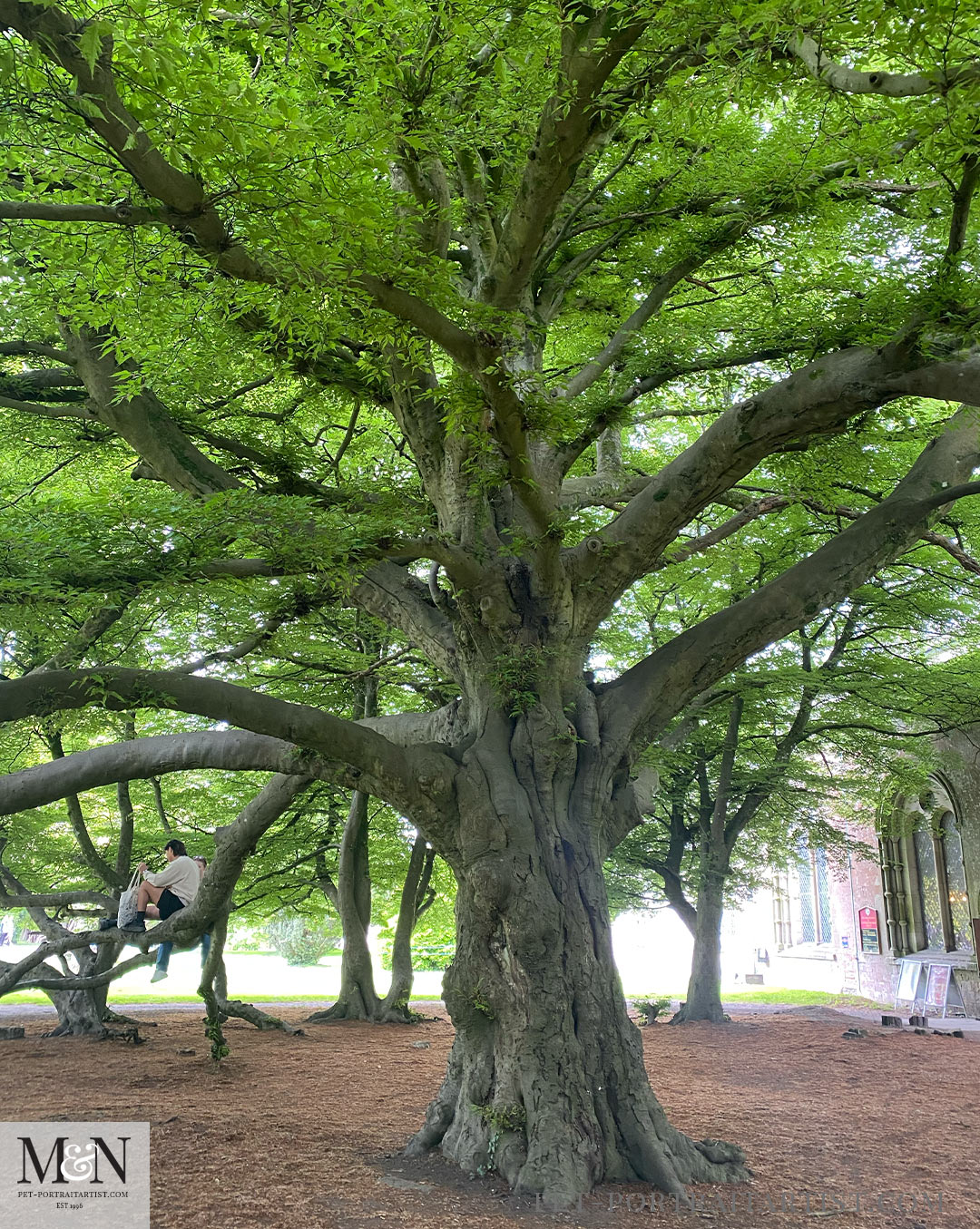 Melanie's May Monthly News - Margam Park