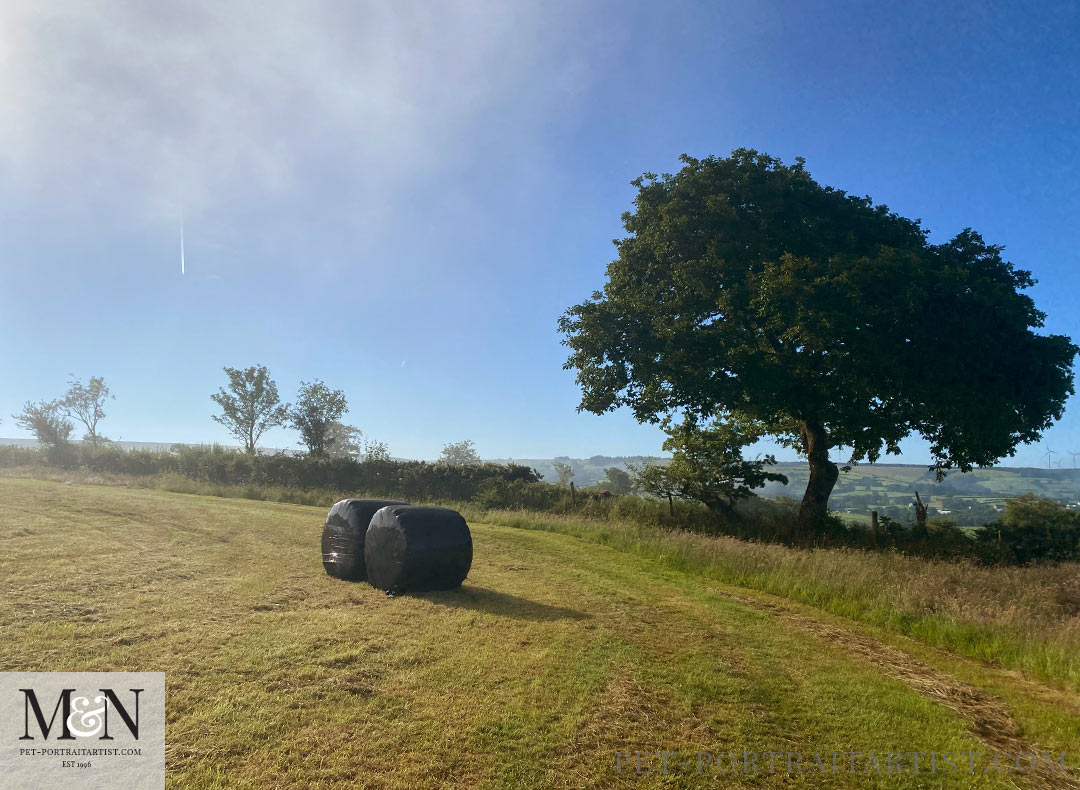 West Wales landscape