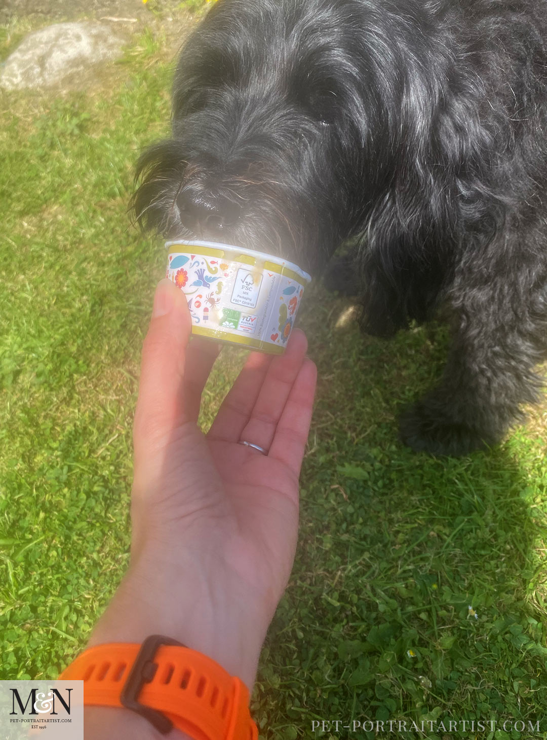 Lily eating her doggy ice cream