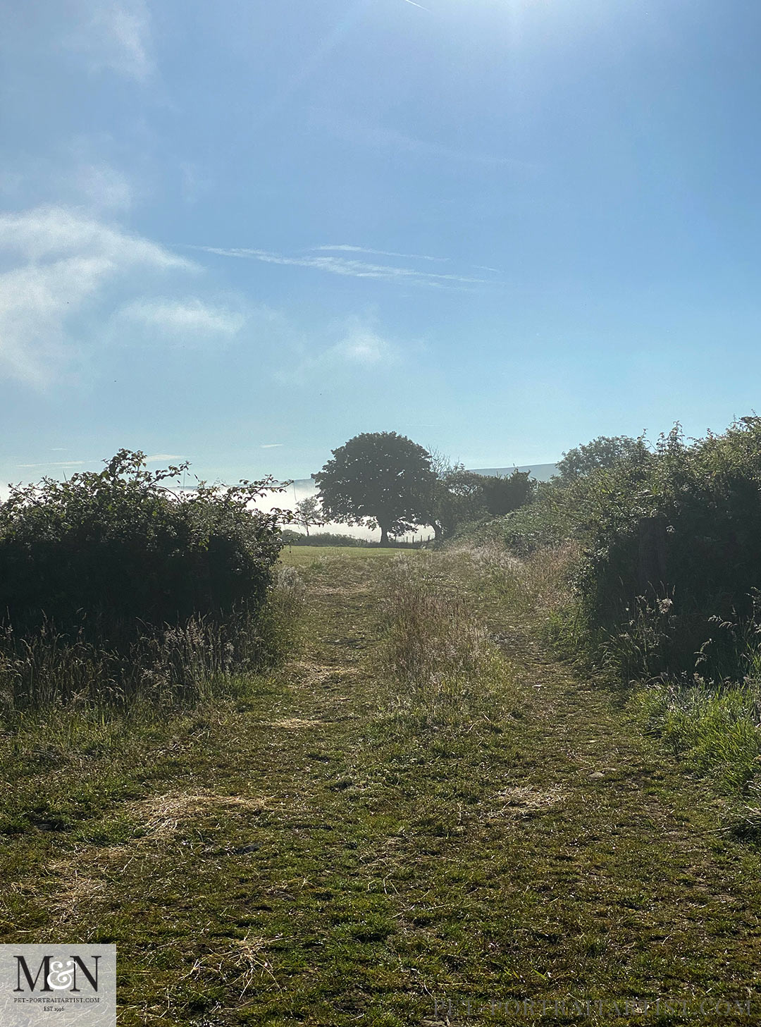 Lovely footpath without a gate!! 