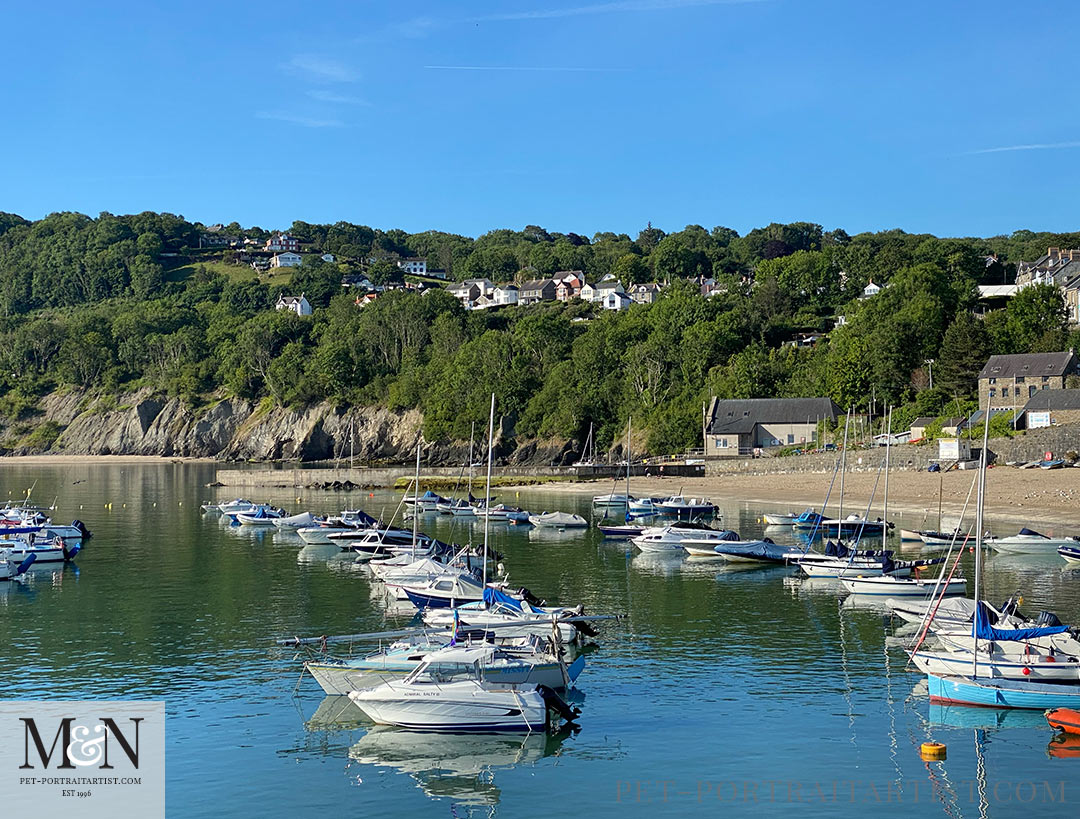 New Quay - Just like the French Riviera