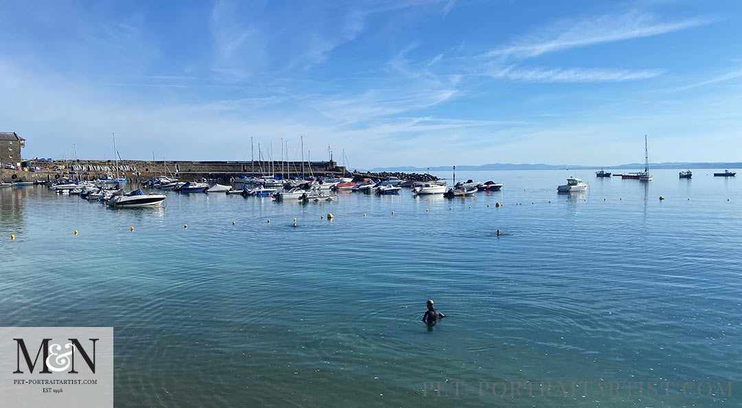 Melanie's July Monthly News Swimming in New Quay