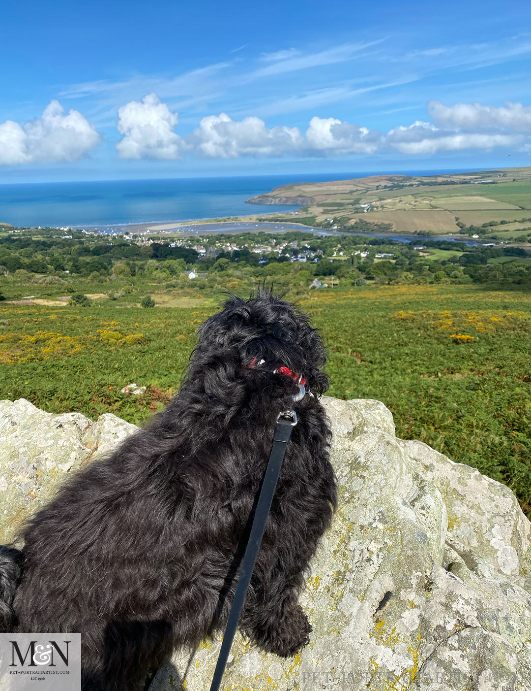 View towards Newport Pembrokeshire - Melanie's August Monthly News