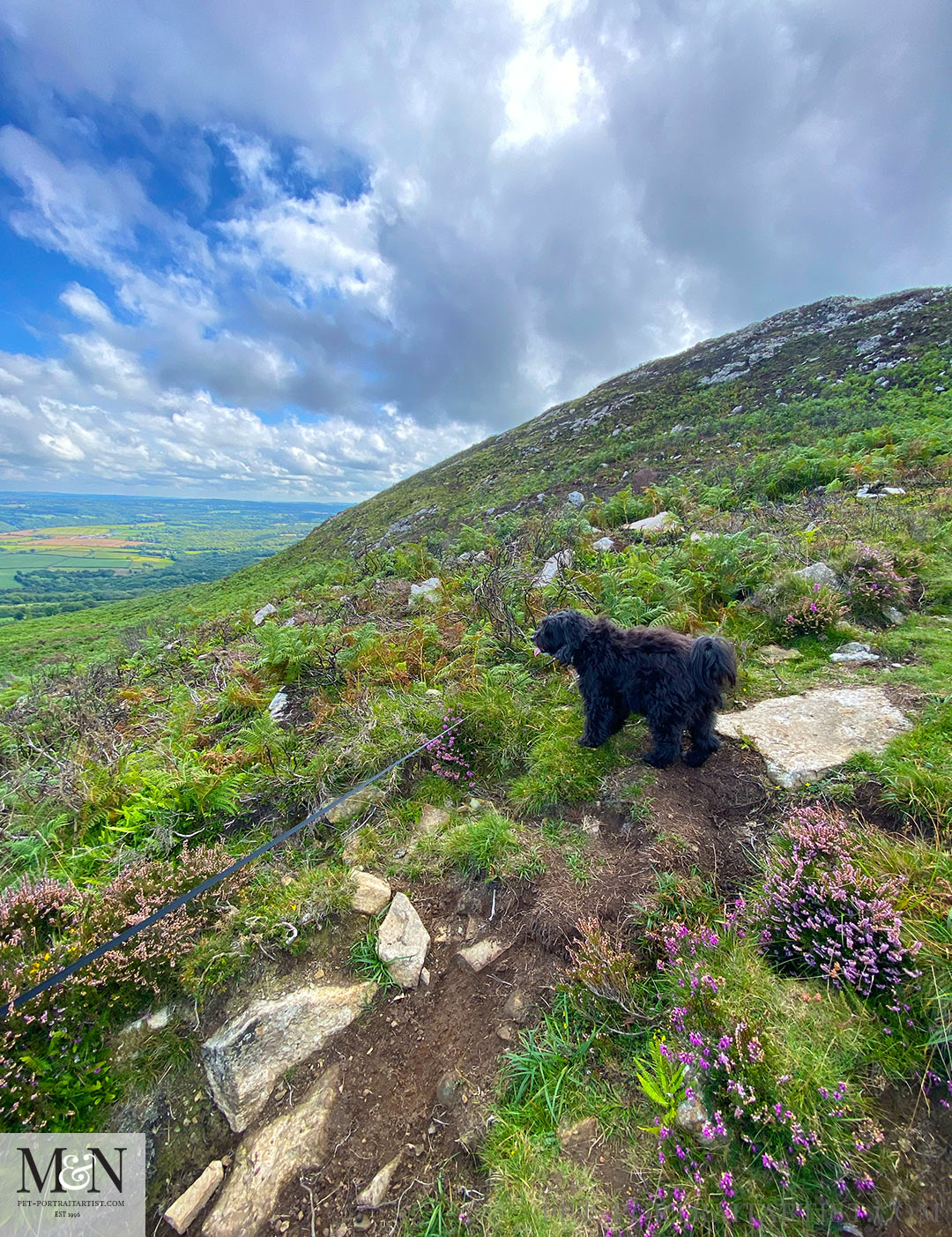 Walking up Carningli Mountain