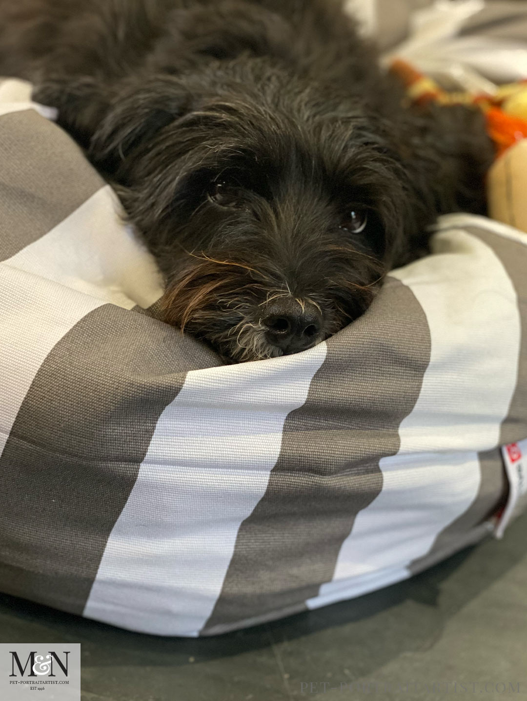 Lily on her beanbag - Melanie's September Monthly News