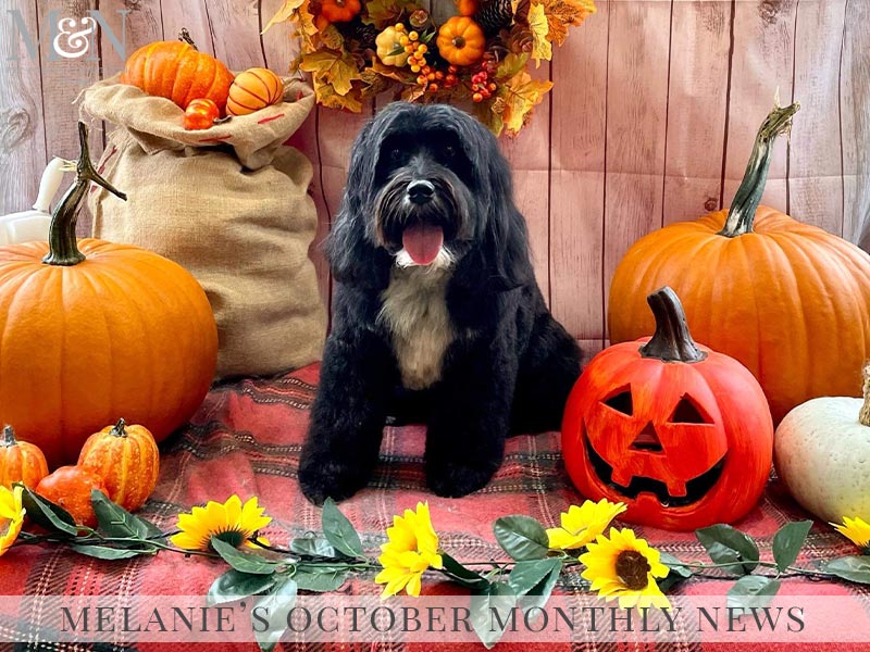 Melanie’s October Monthly News