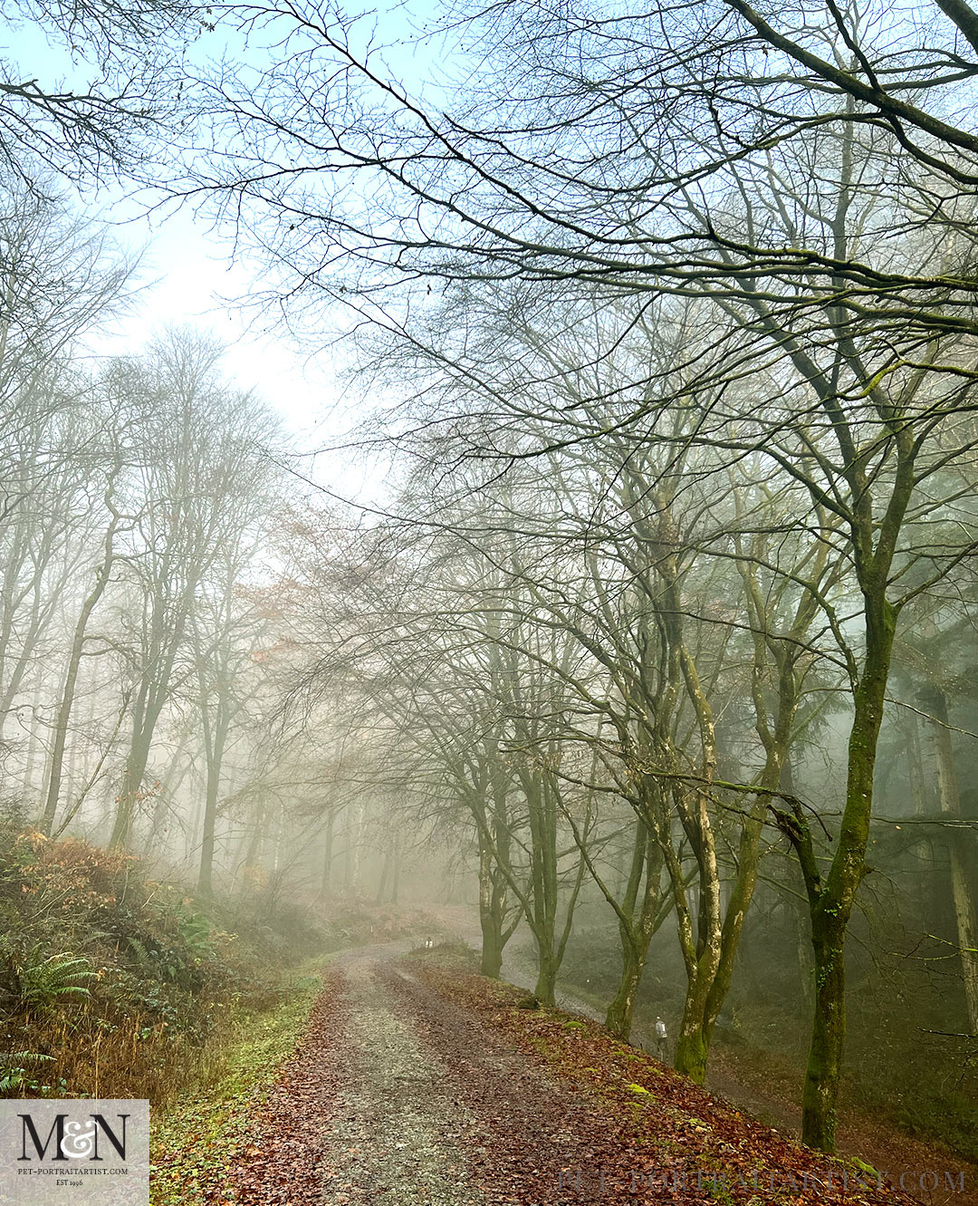 Trail Running