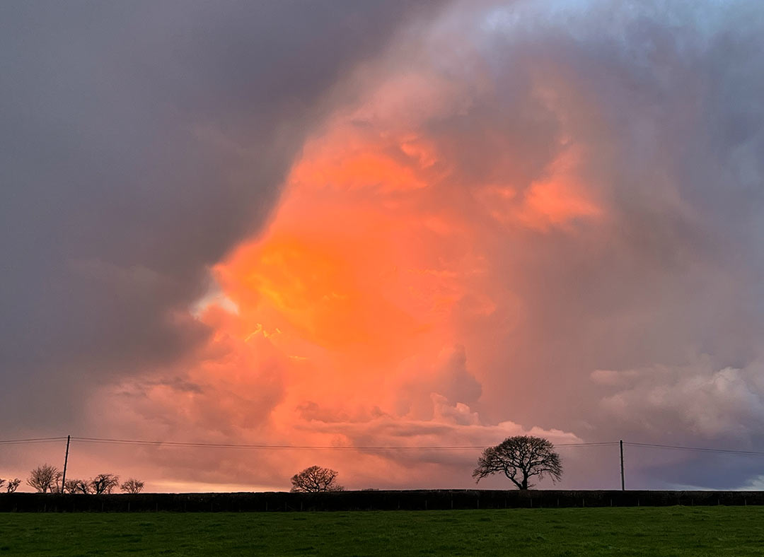 Stunning Orange Sky