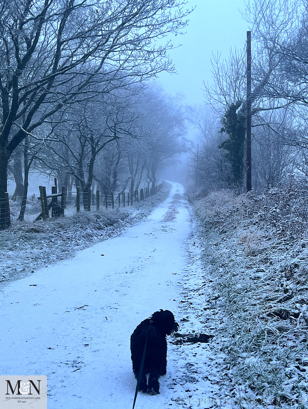 Snow in Wales