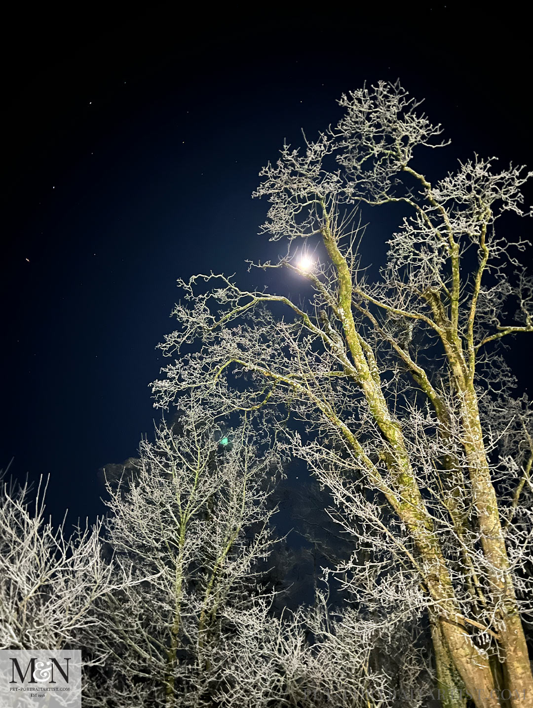 Early Morning Moon