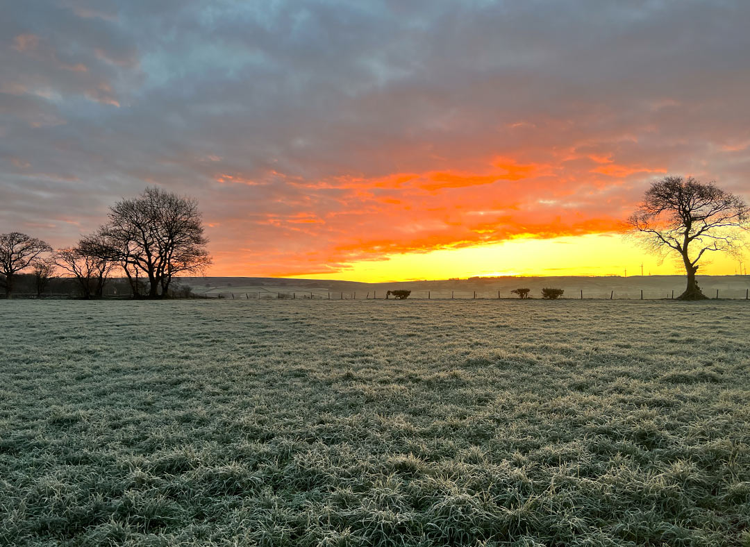 Orange Sunrise