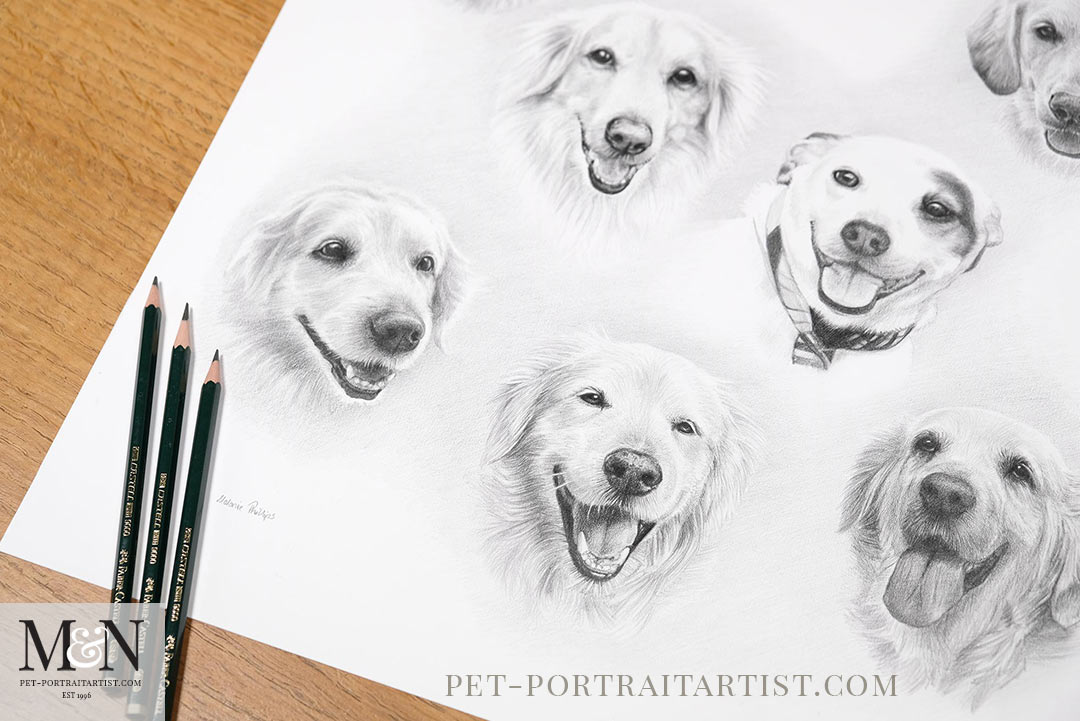 Seven Dogs, One Portrait – A Special Pet Portrait