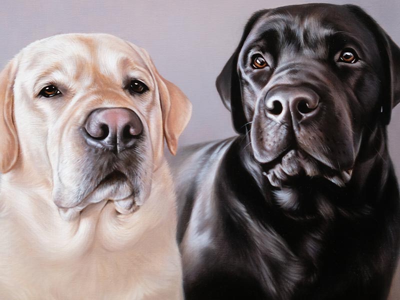 Monty & Ozzy – Oil Portrait of Two Labradors