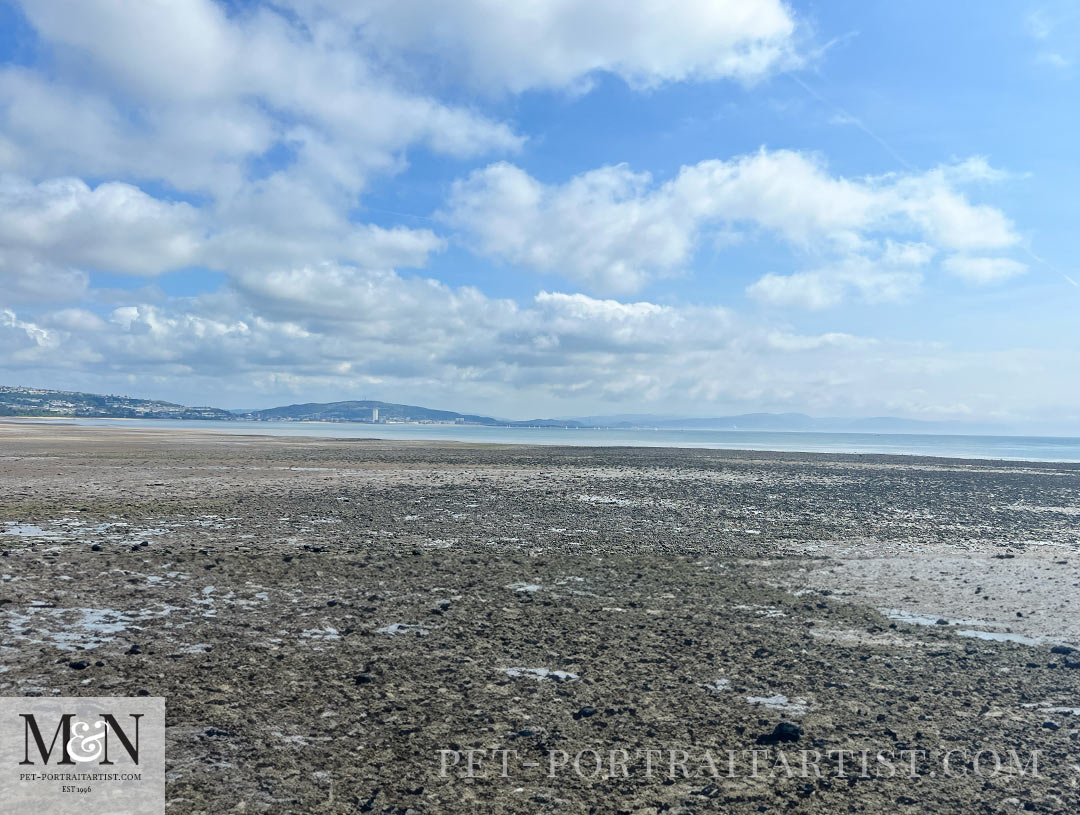 Swansea Beach