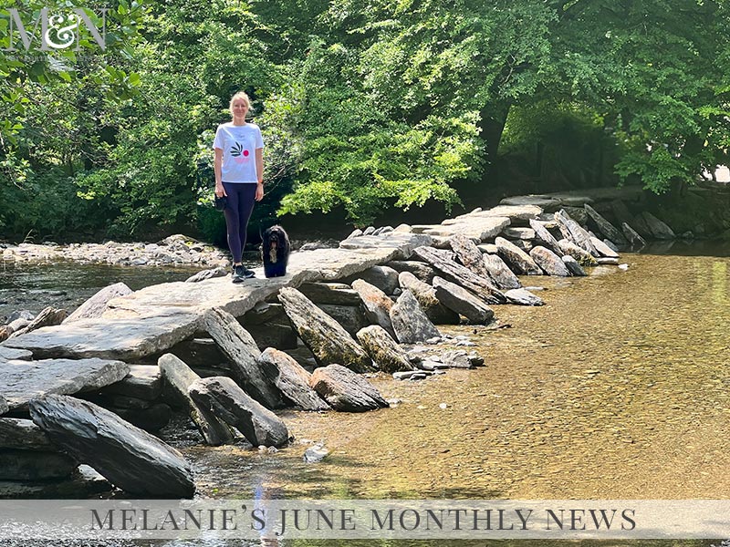 Melanie’s Monthly News in June