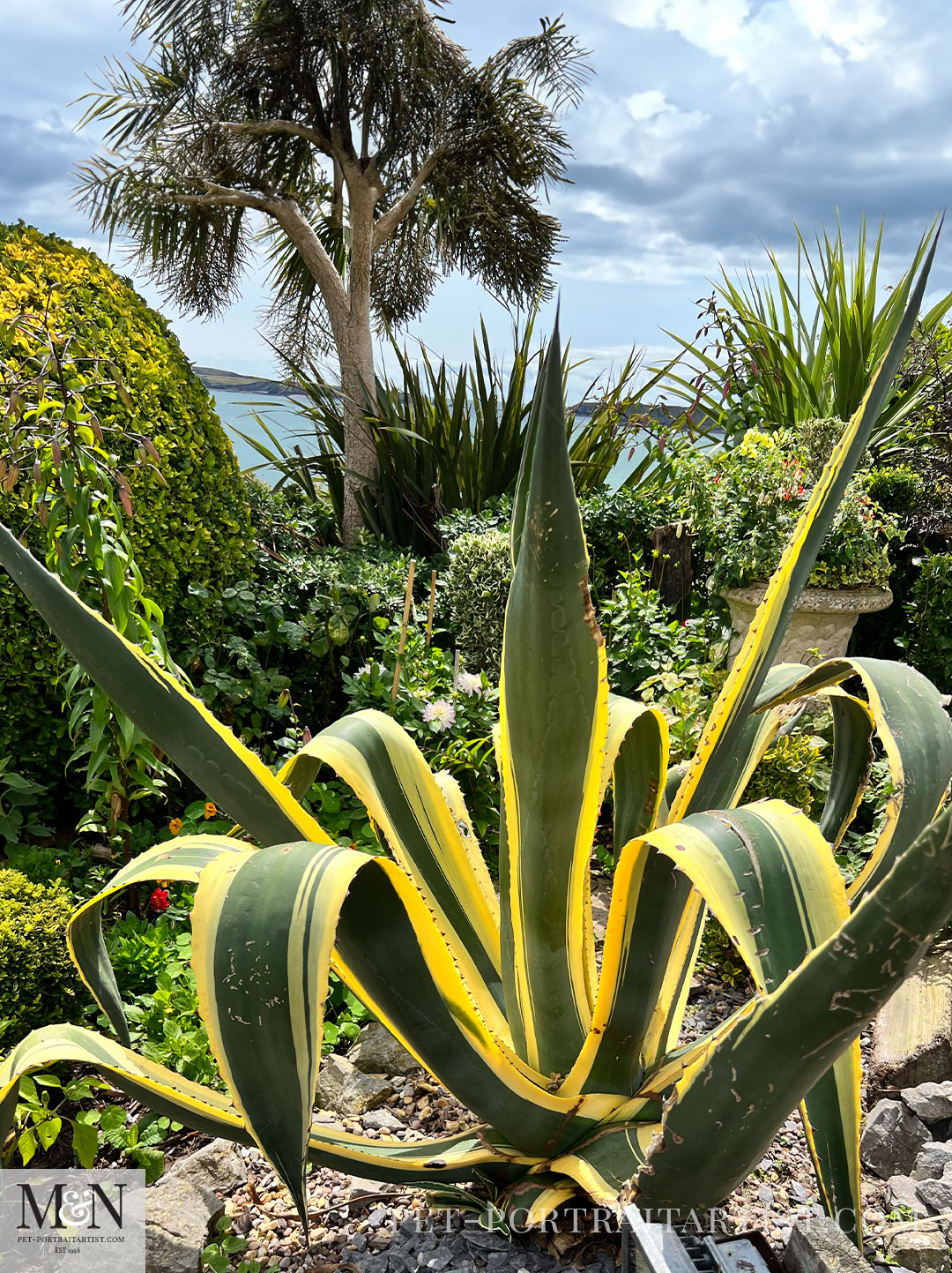 Tenby Gardens