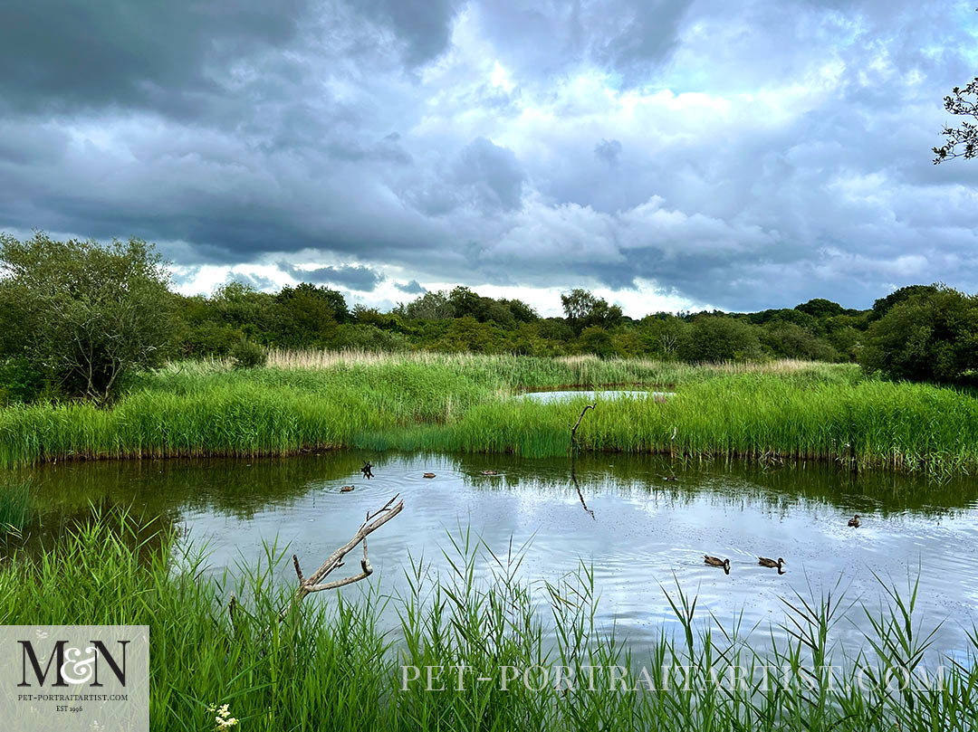 Hide at Cilgerran Melanie's Monthly News in July